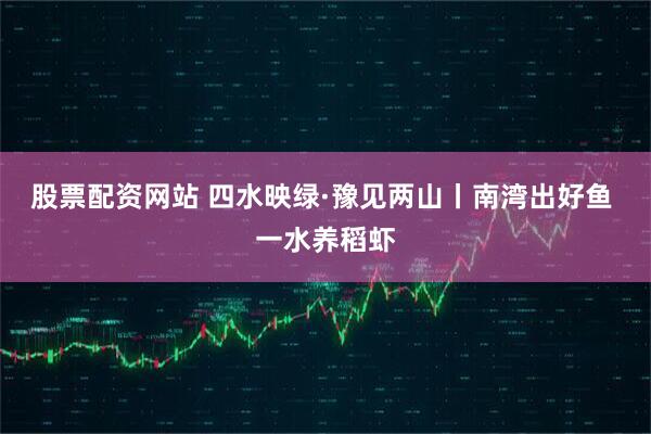 股票配资网站 四水映绿·豫见两山丨南湾出好鱼 一水养稻虾